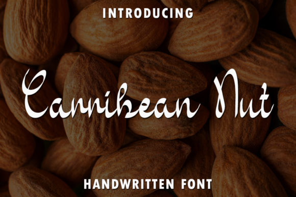 Carribean Nut: A Sweet Handwritten Font for Web Design