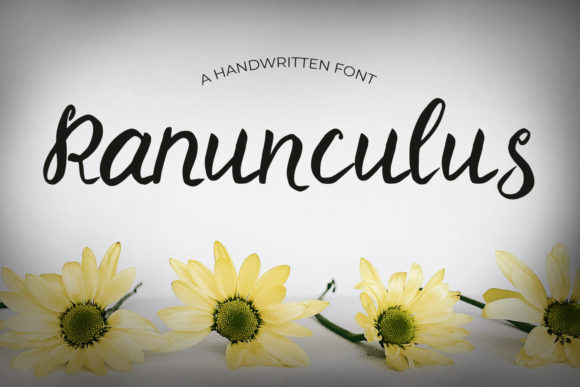 Ranunculus Font: Elevating Web Typography